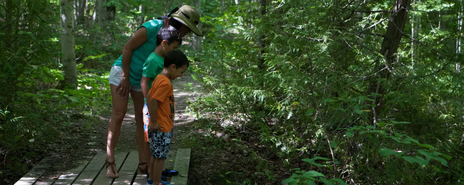 Jones Bluff Loop Bruce Trail Access Point