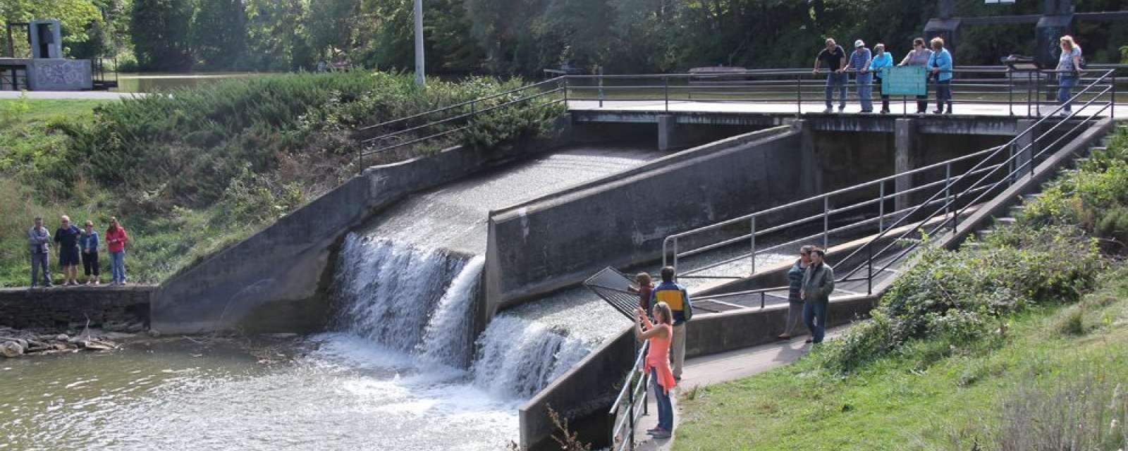 Owen Sound Salmon Tour
